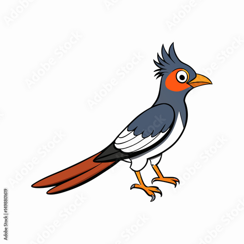 Cuckoo Bird Perched Vector Style On White
