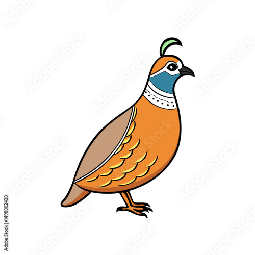 Quail Bird Perched On White