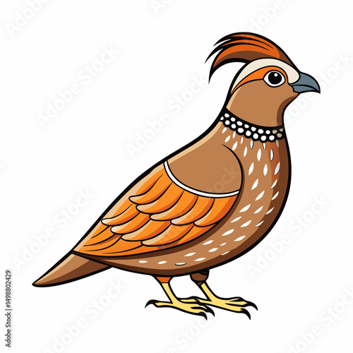 Quail Bird Perched On White