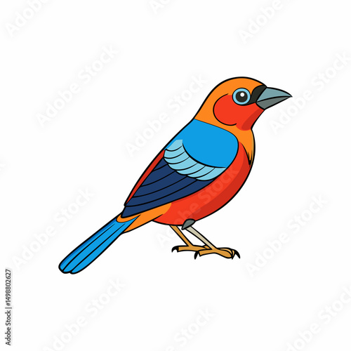 Tanager Bird Perched On White