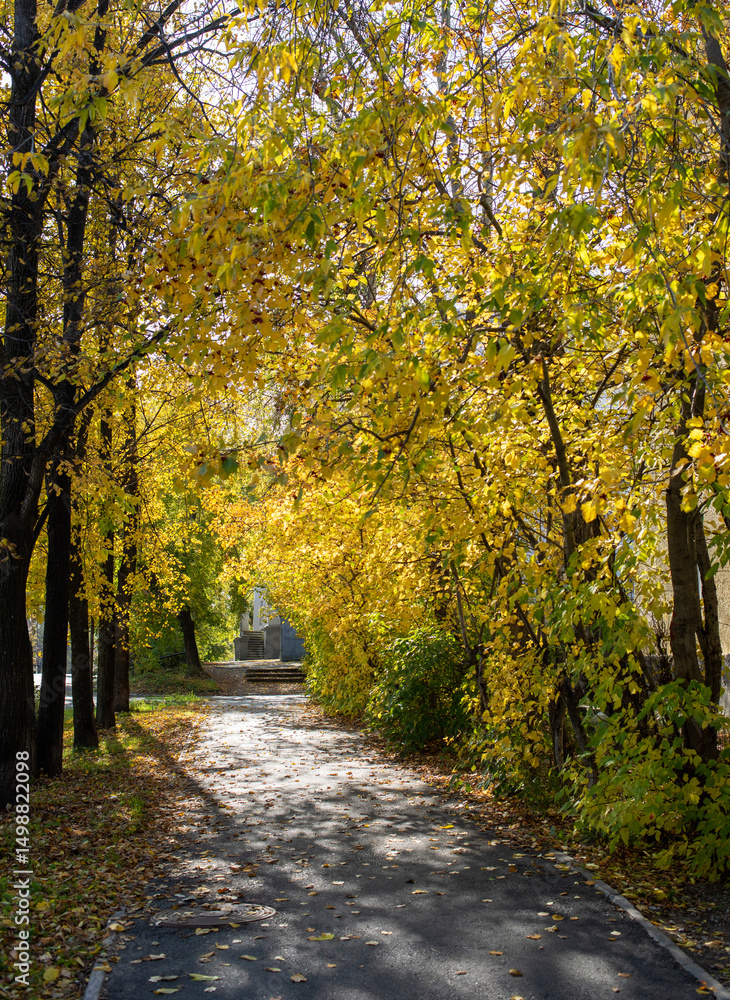 Obraz premium Autumn pathway surrounded by vibrant yellow foliage creating a serene outdoor atmosphere