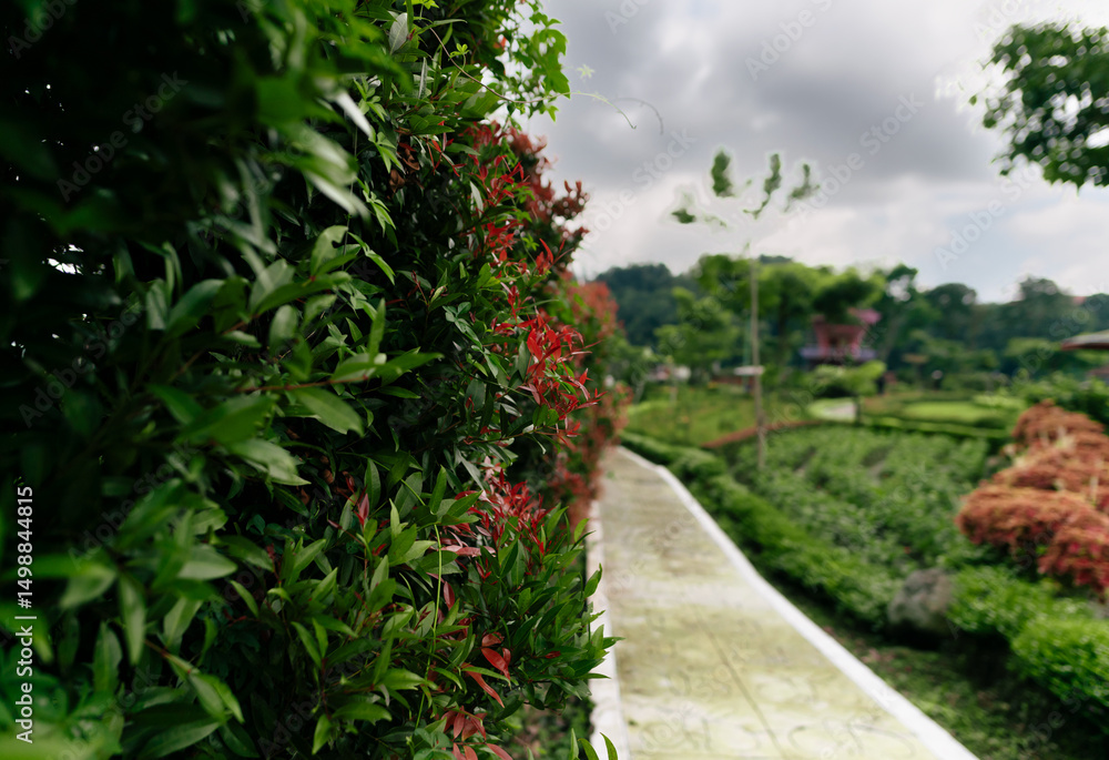 Naklejka premium Lush Green Landscape with Pathway Through a Vibrant Garden