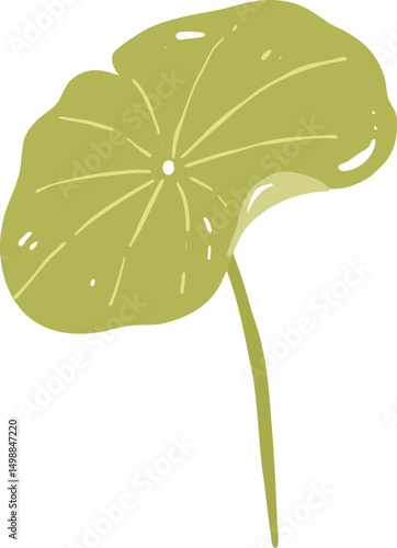 Lotus Pad