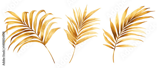 Wallpaper Mural Watercolor golden palm leaves set isolated on transparent background Torontodigital.ca