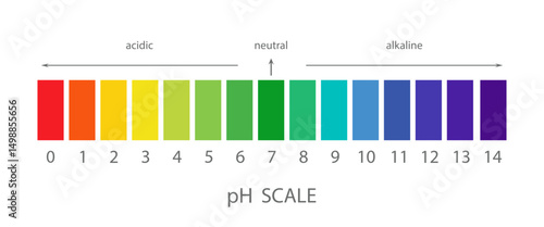 PH Scale. Gauge for acid and alkaline balance. Scale indicator for litmus paper test. Flat Vector illustration.