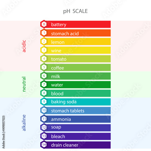 PH value Scale chart. Liquid level, litmus color change. Ph food analysis or chemical test. Vector illustration in flat style.