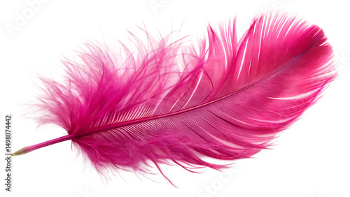 Pink ostrich feather isolated on a white background png ai generated