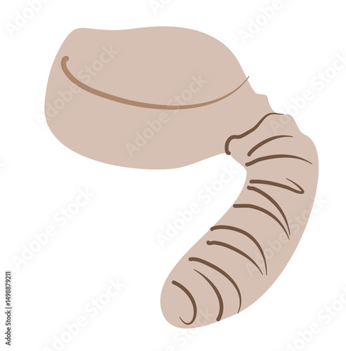 Hat illustration