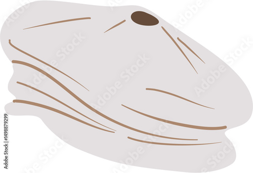 Hat illustration