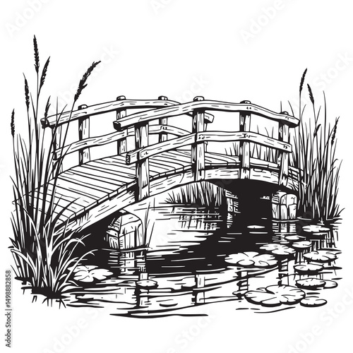 bridge spanning calm wetlands pond nature outline illustration