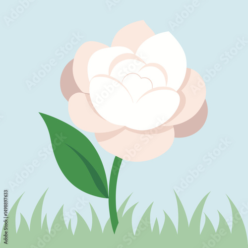 Elegant floral illustration of a white flower in grass with light blue background