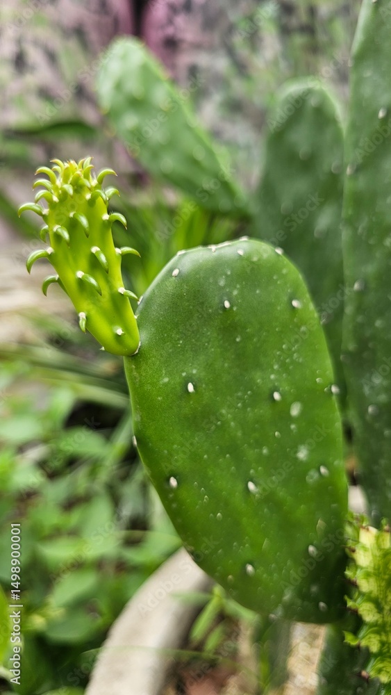 water drops on a green leaf water drops on a green leaf