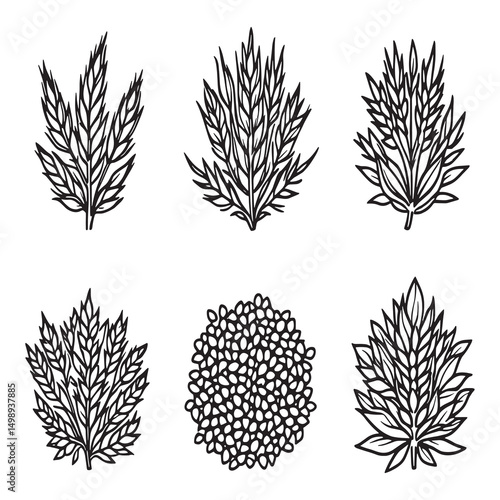 Flaxseed natural organic seed line art vector