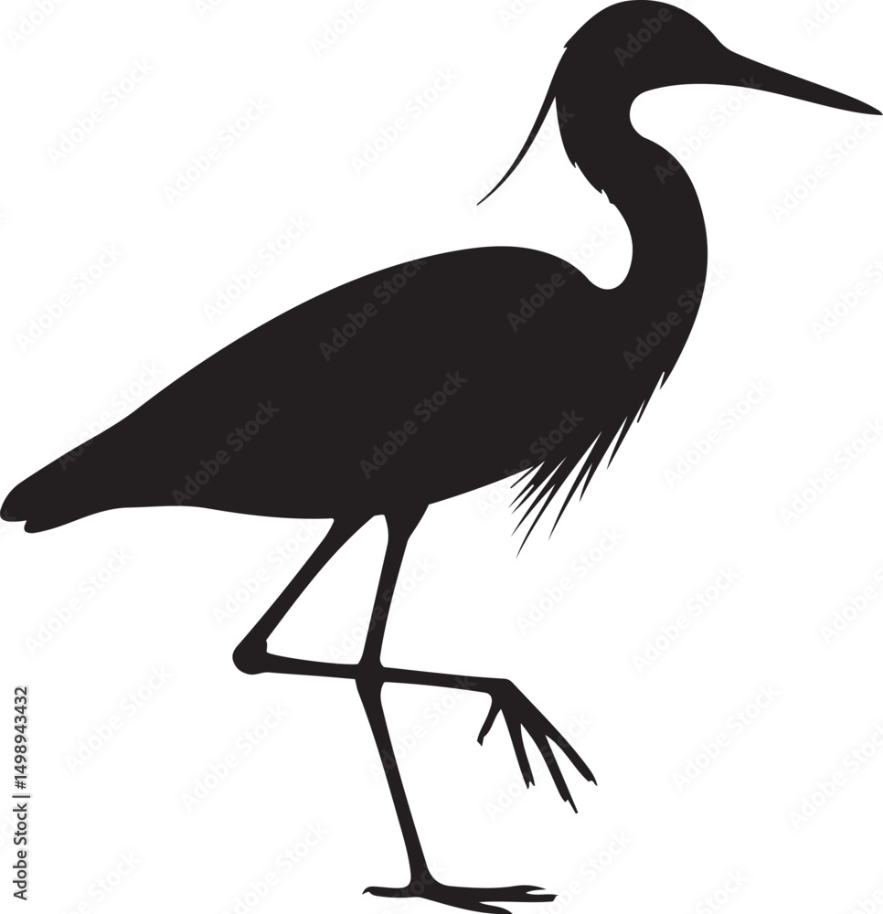 Fototapeta premium Large Black Heron Standing Gracefully on One Leg, a Captivating Silhouette Against a Clean White Background,, Wildlife and Nature Themes