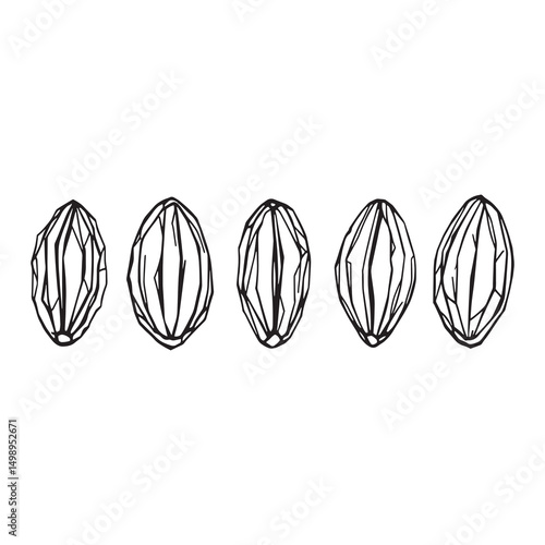 hand drawn cocoa plant line art vector for packaging