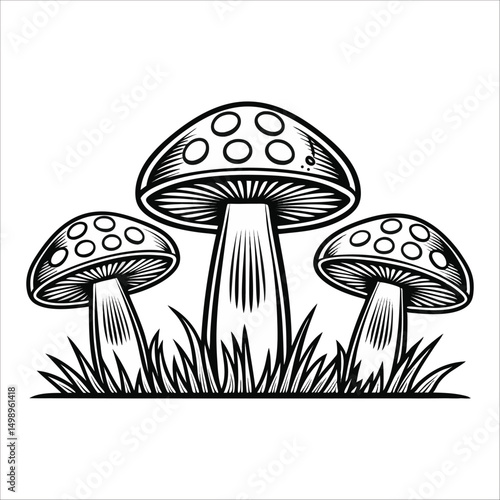  Mushrooms Vector, Mushroom, Fungi, Toadstool, Botanical, Illustration, Line Art, Black And White, Monochrome, Forest, Nature, Vintage, Hand Drawn, Engraved, Sketch, Wild, Flora, Plant, Detailed, vect