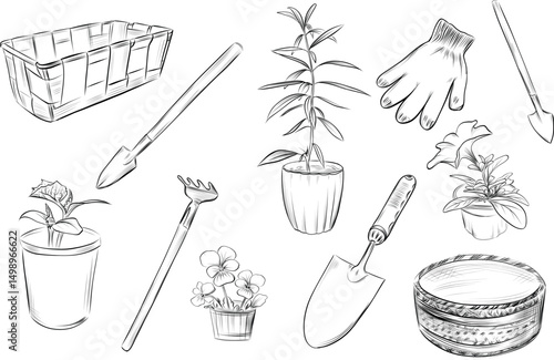 Gardening tools potted flowers and houseplants vector