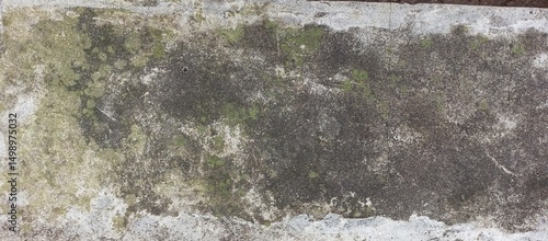 Mossy Concrete Surface with Weathered Texture