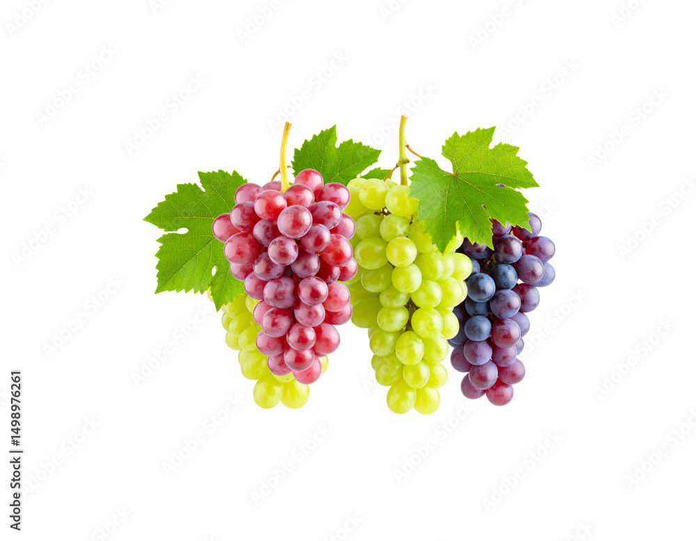 Fototapeta premium Single bunch of fresh red grapes with green leaves 