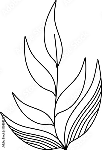 Leaf Outline Illustration