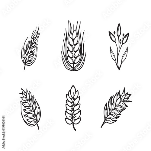 Minimalist flaxseed plant vintage style drawing