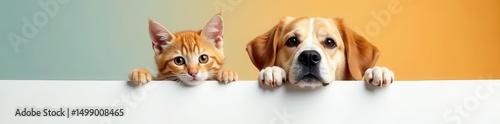 Curious cat and dog peeking over white banner, friends, online, kitten