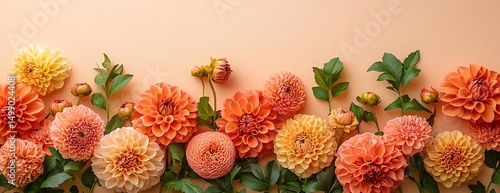 Peach dahlias border, floral design