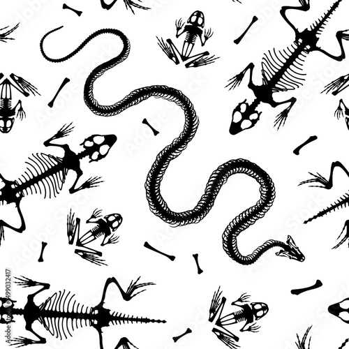 Seamless pattern. Skeletal system of animals. Frog, snake and lizard bone structure isolated on a white background. Amphibian and reptiles silhouettes.
