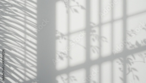 Captivating shadow play of leaves on walls indoor space photography soft lighting artistic viewpoint