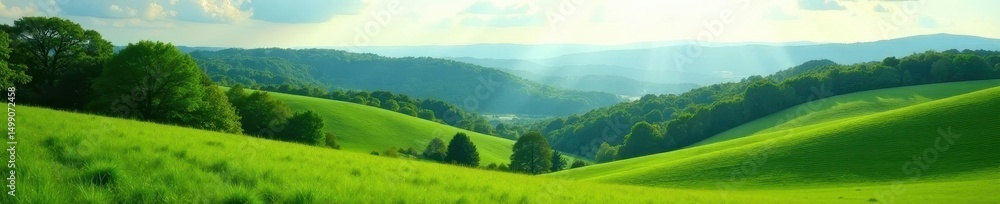 Fototapeta premium Rolling green hills, distant forest, bright daylight, vegetation, sky, sunlight