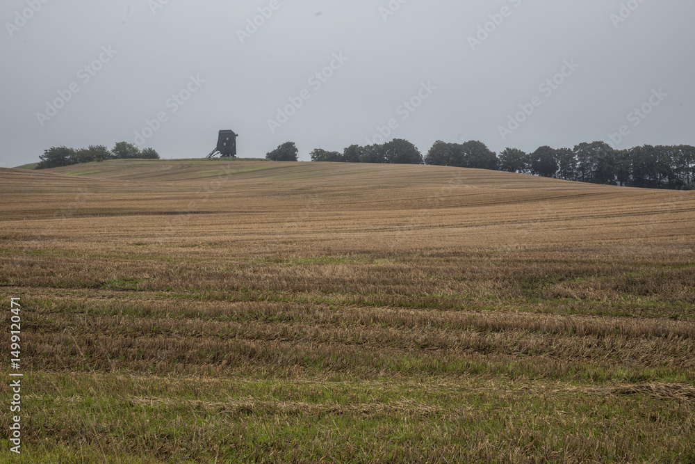 Fototapeta premium Skåne field after harvest