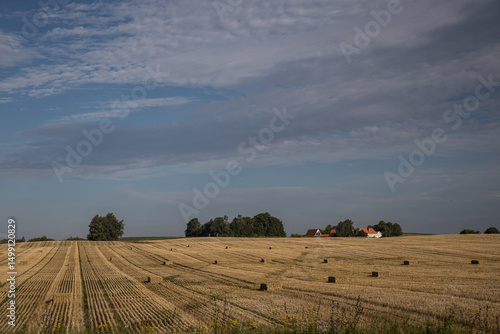 Skåne field after harvest