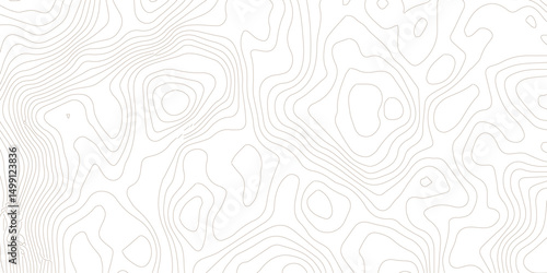 Abstract wave paper curved reliefs background .gradient multicolor wave curve lines banner background design .topographic contours map background .Vector geographic contour map.