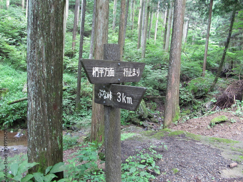 日本：ぶな峠と椚平への道標／埼玉県ときがわ町