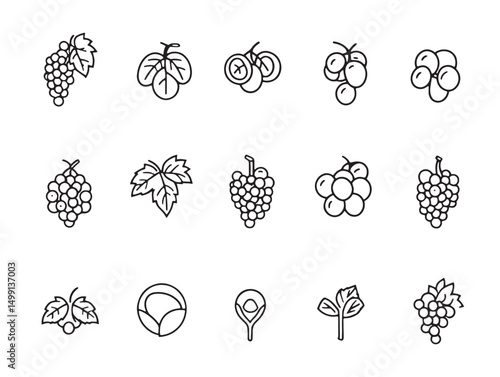 Fresh juicy grape cluster simple line art illustration