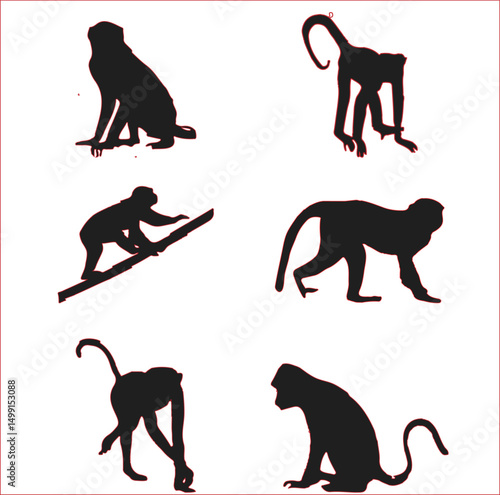 mankey  vector image