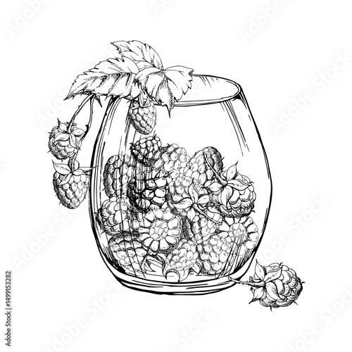 Raspberry in translucent glass with leaves on stalks, ripe picked berry dewberry cloudberry mulberry harvest. Isolated illustration hand drawn in vector ink. Farmers market grocery preserves dessert