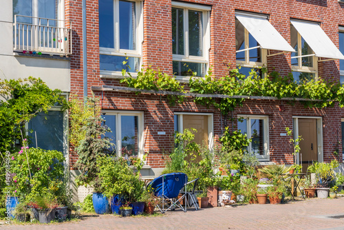 Garden with pots and plants in front of modern city houses in Katendrecht Rotterdam port city in South-Holland the west of the Netherlands