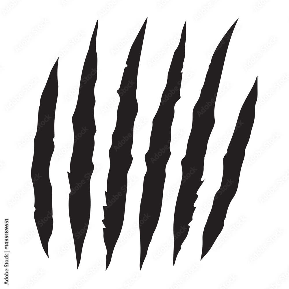 Fototapeta premium animal Claw scratches mark set. Cat tiger scratches paw shape. isolated on White background