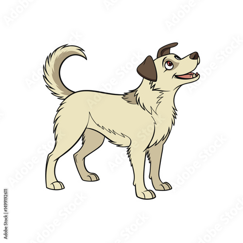 Dog