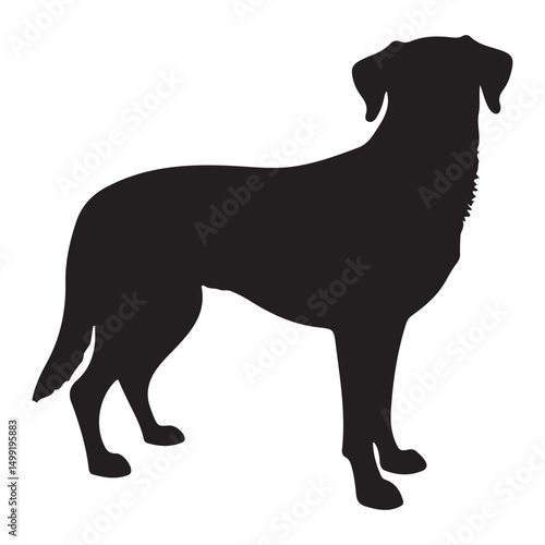 vector illustration of a black dog. vector EPS 10