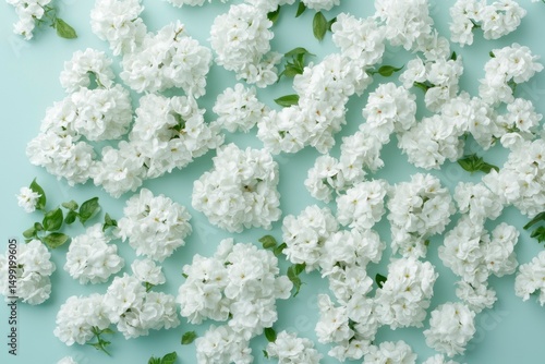 White flowers on mint green background