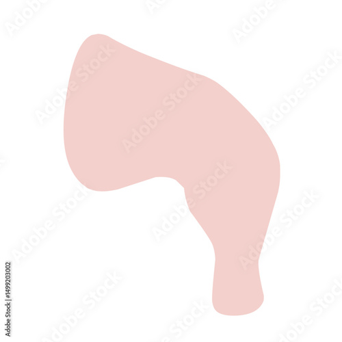 Chicken Meat Flat Illustration 