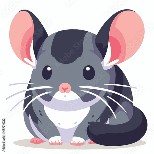 animal, fur, cute, pet, small, mammal, rodent, chinchilla, fluffy, furry, domestic, young, nature, grey, sitting, white, adorable, portrait, gray, looking, funny, one, tail, little, background, mouse,