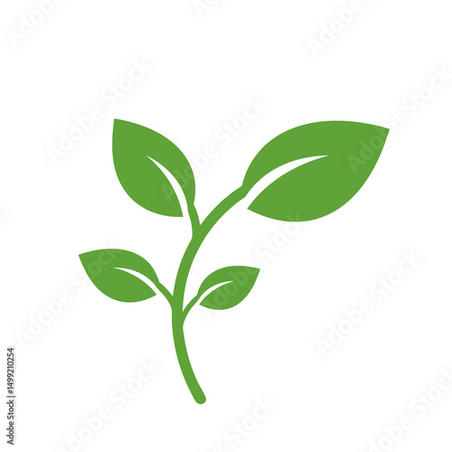 Green leafy plant isolated on a white background with fresh natural growth