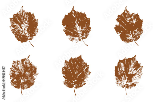 Natural Corylus avellana leaves imprint, Grunge style, Vector, Isolated, Decorative elements for design	