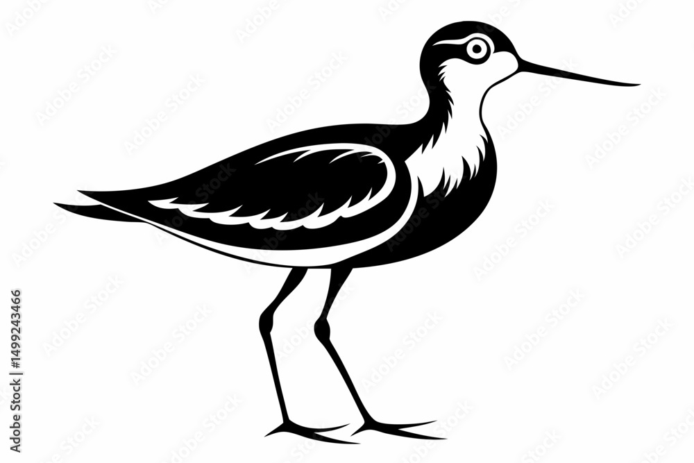 Fototapeta premium sandpiper silhouette line art vector illustration with a white background
