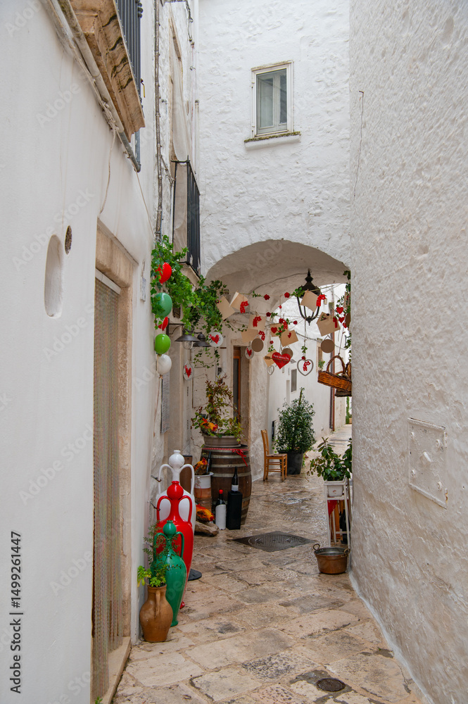 Fototapeta premium Narrow street of Locorotondo. Amazing view of the cozy old town with plants and decorations in Locorotondo, Apulia Region, Italy