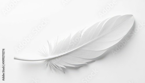 White feathers against stark white background, brightness, plume, white