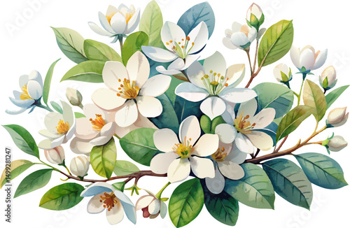 A watercolor painting of a Serviceberry (Amelanchier arborea), with clusters of white spring flowers and simple oval leaves, isolated on a white background.